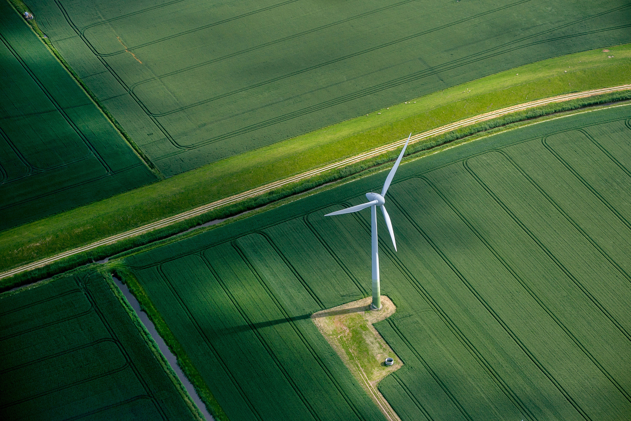 Windfarm green